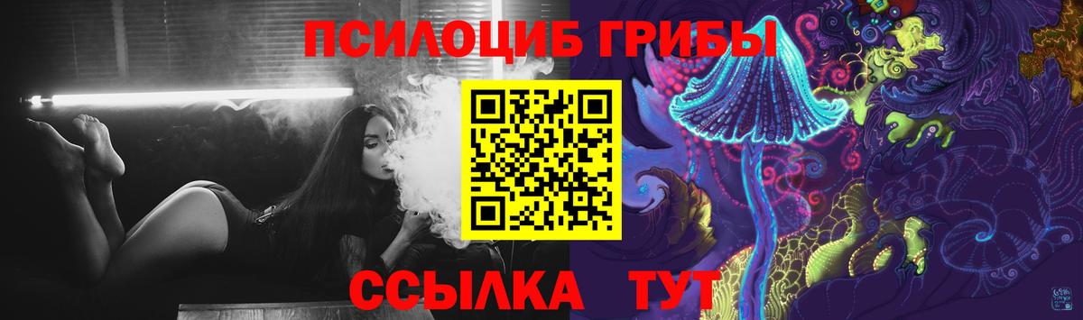 Галлюциногенные грибы Cubensis Сергиев Посад